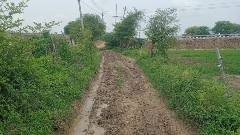 यूपी -एमपी को जोड़ने वाला 1975 तक आबाद सिंधिया स्टेट हाइवे की पुनः ज़रुरत ?