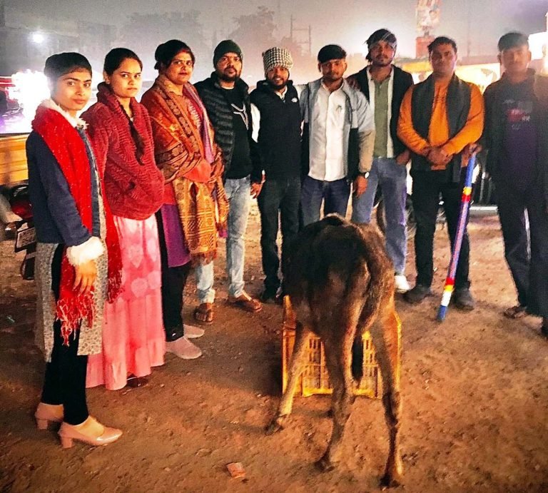 राष्ट्रीय गौ रक्षक संघ टीम ने गौवंशों को खिलाया गुड़, पहने रेडियम बेल्ट