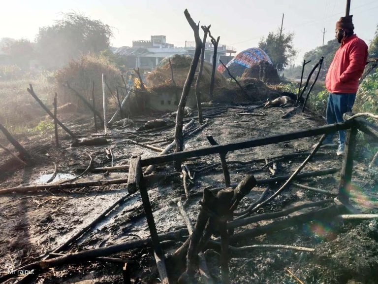 झोपड़ी में लगी आग, 20 भेड़ बकरी की मौत 20 से अधिक भेड़ बकरी घायल