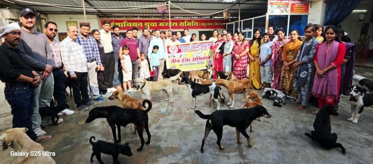 प्रभु धाम आश्रम में किया जा रहा जीव सेवा कार्य