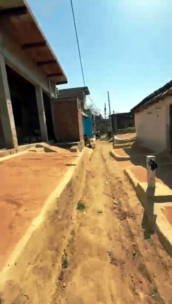 ग्राम बघेड़ी में तीन साल में नहीं बनी सड़क, कीचड़ और अतिक्रमण से बेहाल ग्रामीण