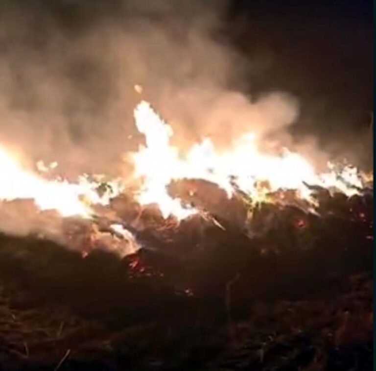 आग लगने से खेत में रखी गेहूं की फसल खाक, मामला दर्ज