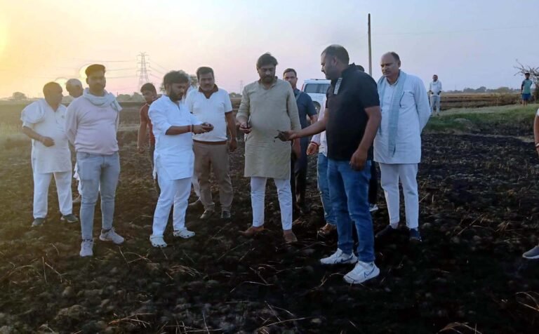टुडीला में शॉर्ट सर्किट से 30 बीघा गेहूं की फसल जलकर खाक