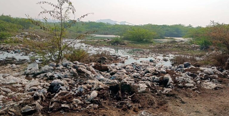स्वच्छ भारत मिशन को पलीता लगा रहे जिम्मेदार कंपनी संचालक