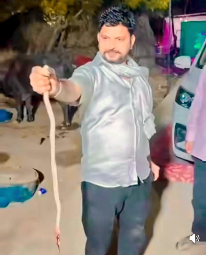 सांप के साथ की क्रूरता के मामले में तीन के खिलाफ प्रकरण दर्ज