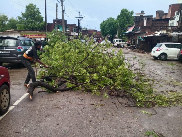आंधी तूफान से मुख्य मार्गों पर गिरे पेड़ों को प्रशासन ने तत्काल हटवाया