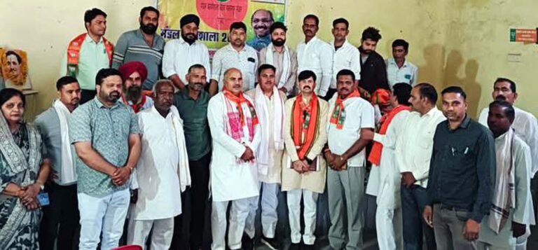 भाजपा की कामकाजी बैठक आयोजित, संगठन मजबूती पर दिया जोर