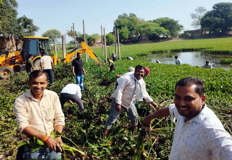 जल संवर्धन अभियान: पटवारी संगठन और जिपं सीईओ ने ऊमरी में किया श्रमदान