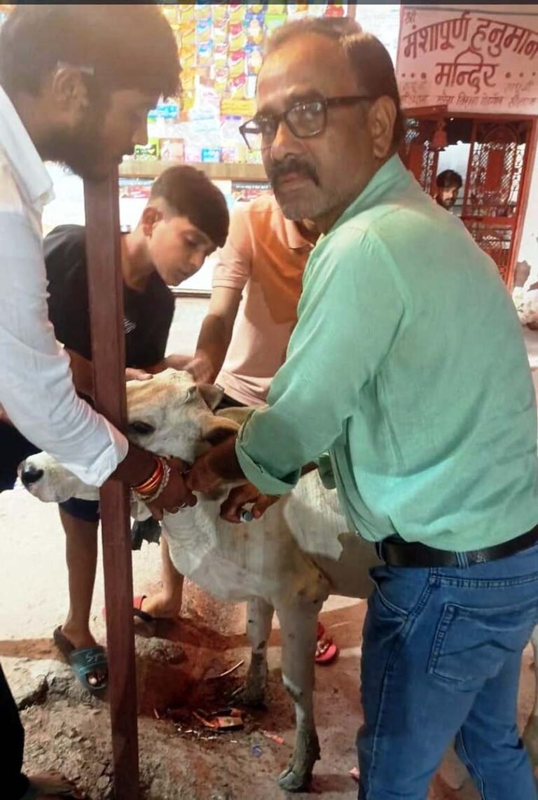 निराश्रित गौवंशों के टीकाकरण लिए चलाया अभियान
